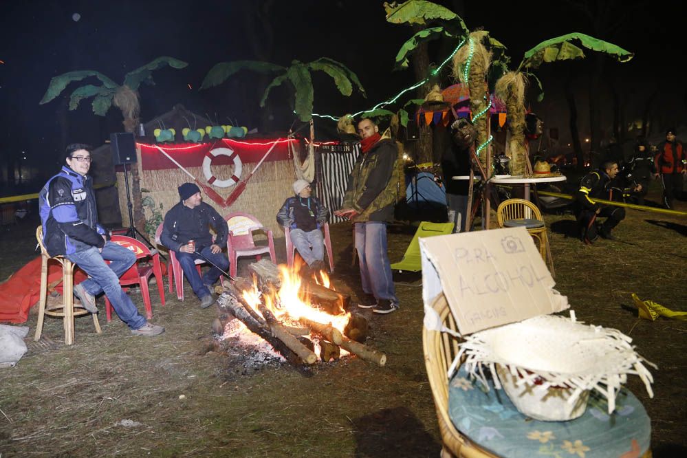 Pingüinos 2014. Galería de fotos