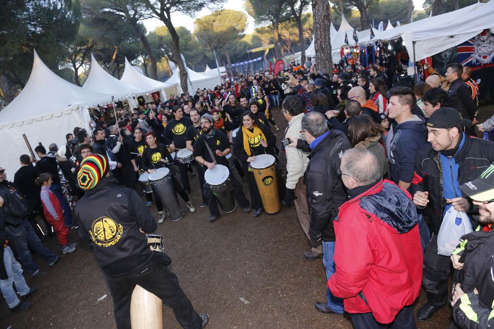 Pingüinos 2014. Galería de fotos