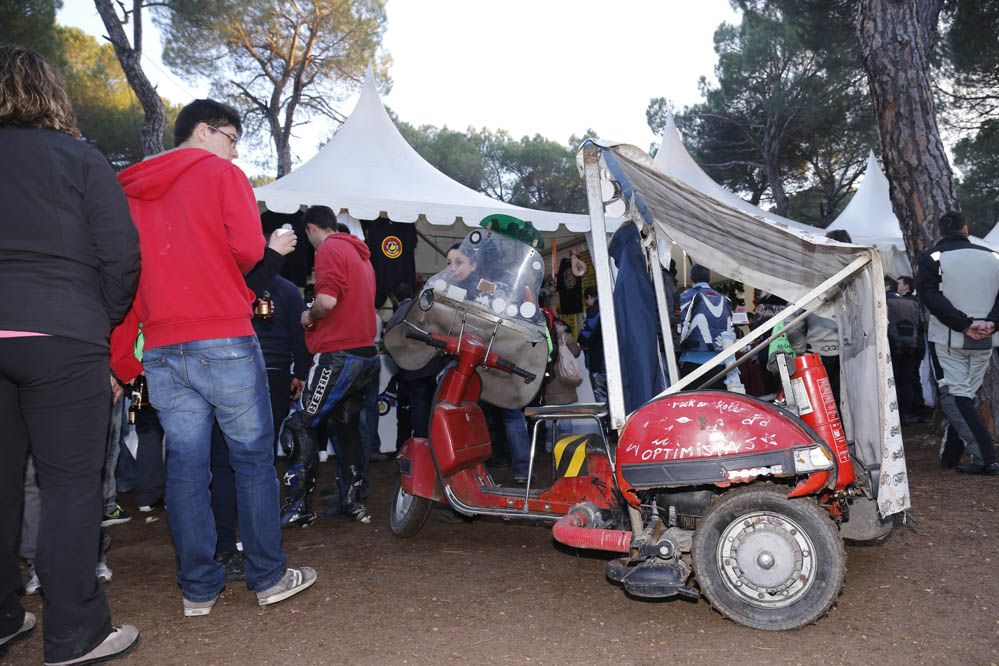 Pingüinos 2014. Galería de fotos