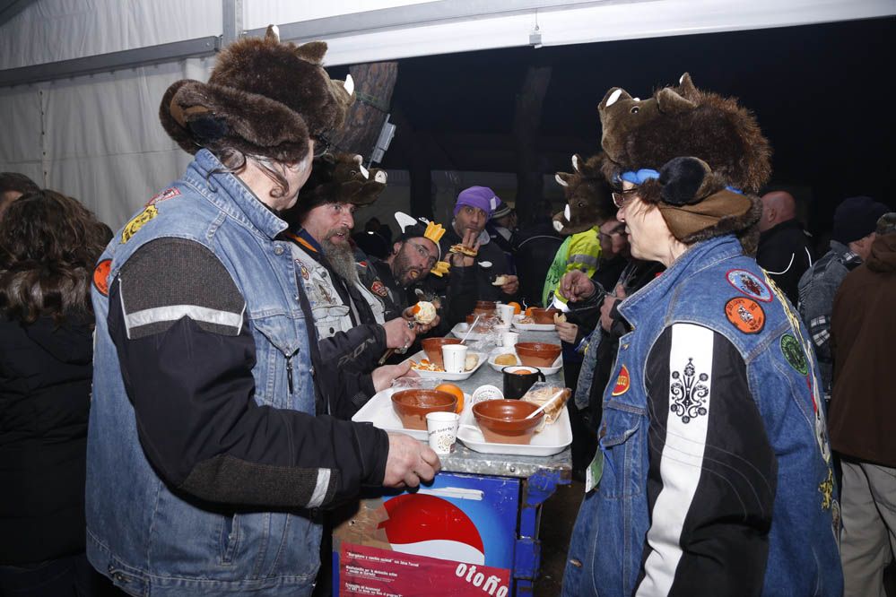 Pingüinos 2014. Galería de fotos