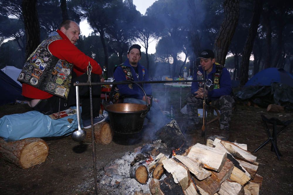 Pingüinos 2014. Galería de fotos