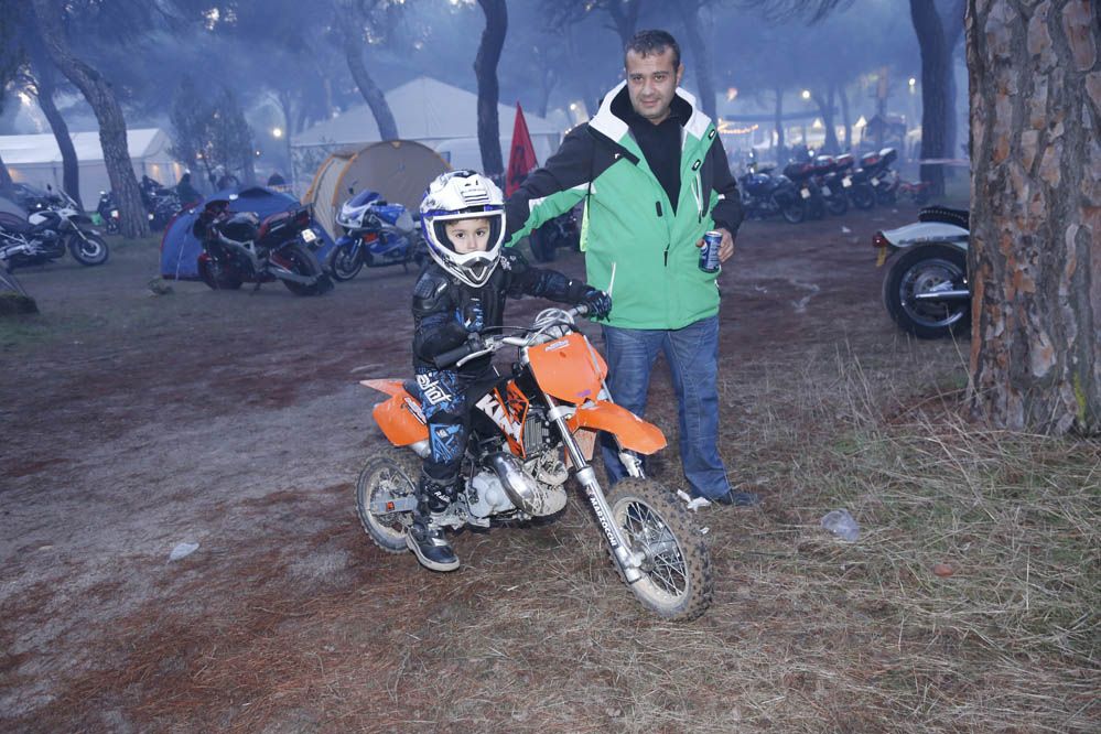 Pingüinos 2014. Galería de fotos