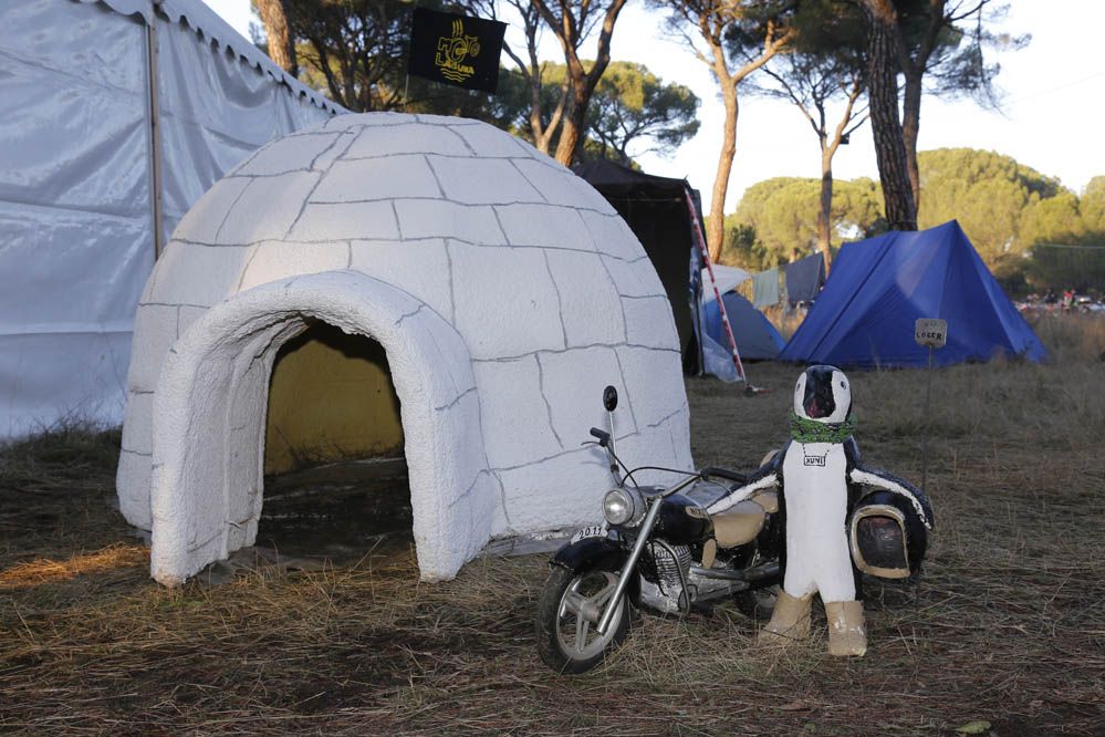 Pingüinos 2014. Galería de fotos