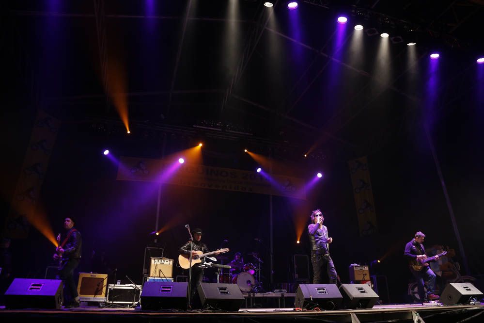 Pingüinos 2014. Galería de fotos