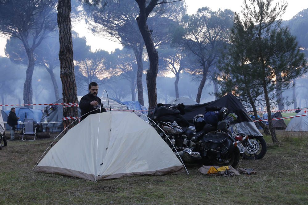 Pingüinos 2014. Galería de fotos
