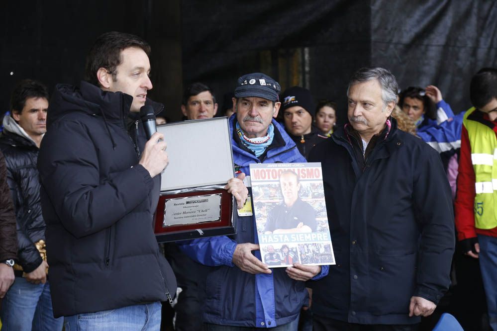 Pingüinos 2014. Galería de fotos