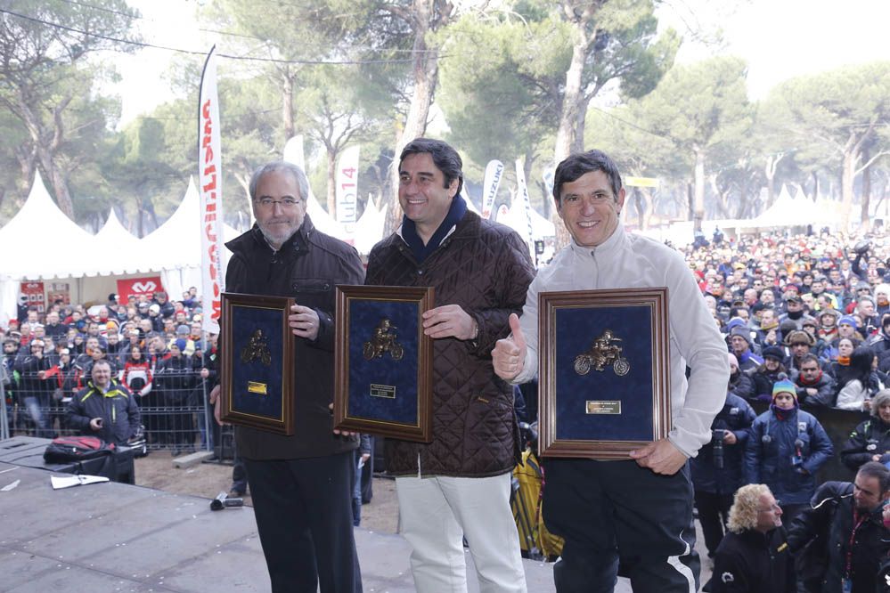 Pingüinos 2014. Galería de fotos
