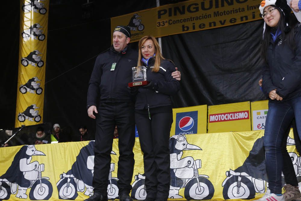 Pingüinos 2014. Galería de fotos