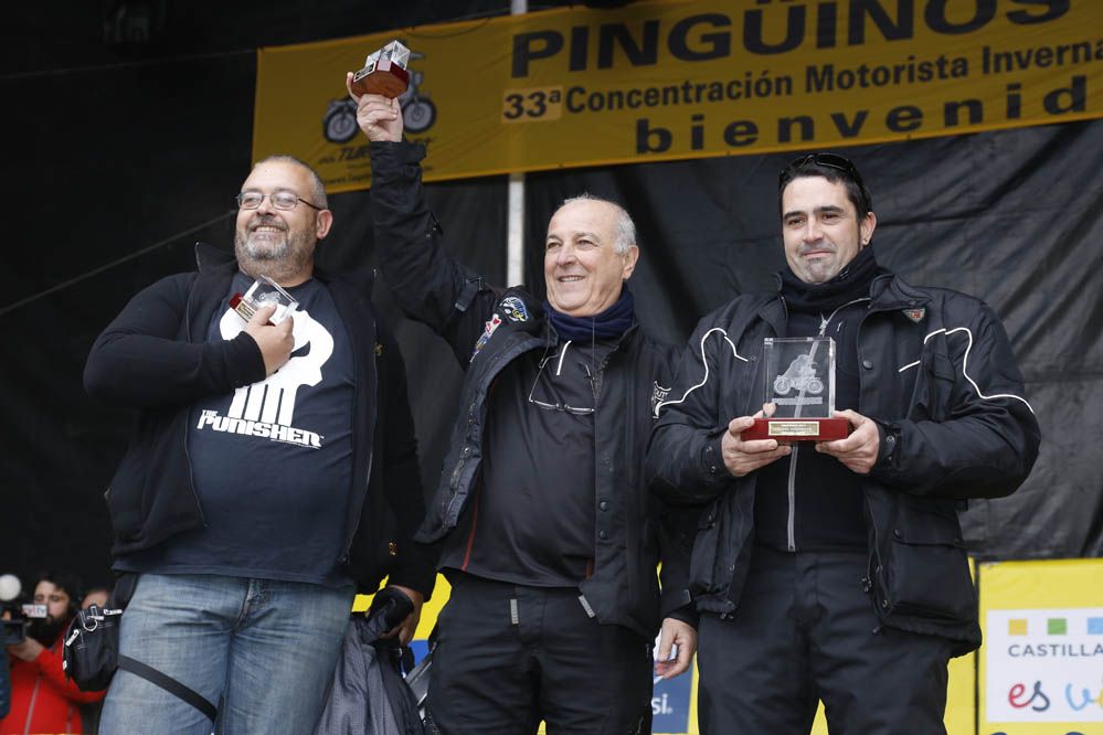 Pingüinos 2014. Galería de fotos