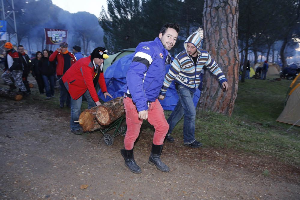 Pingüinos 2014. Galería de fotos