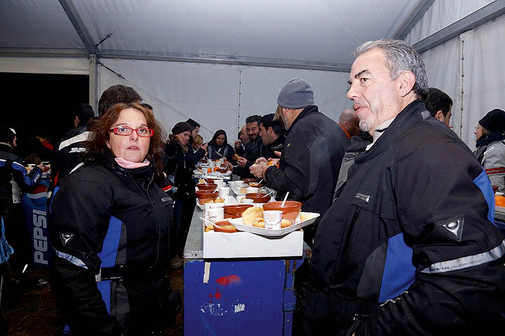 Pingüinos 2014. Galería de fotos