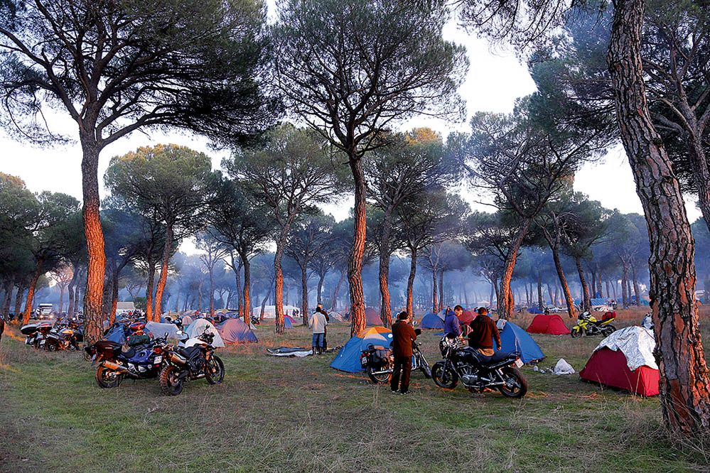 Pingüinos 2014. Galería de fotos