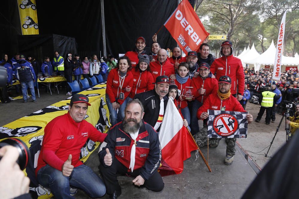 Pingüinos 2014. Galería de fotos