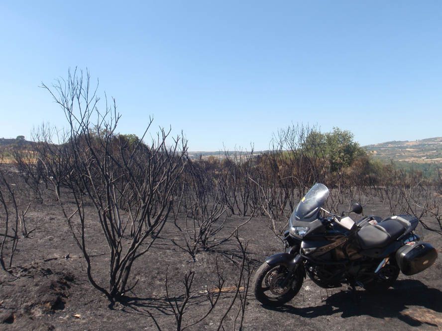 Fotos Honda XL1000V. Objetivo 100000 km
