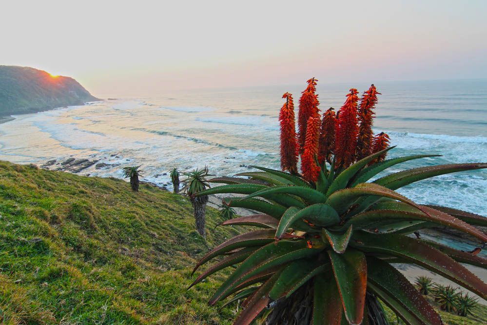 Turismo: La costa este africana (I). Fotos