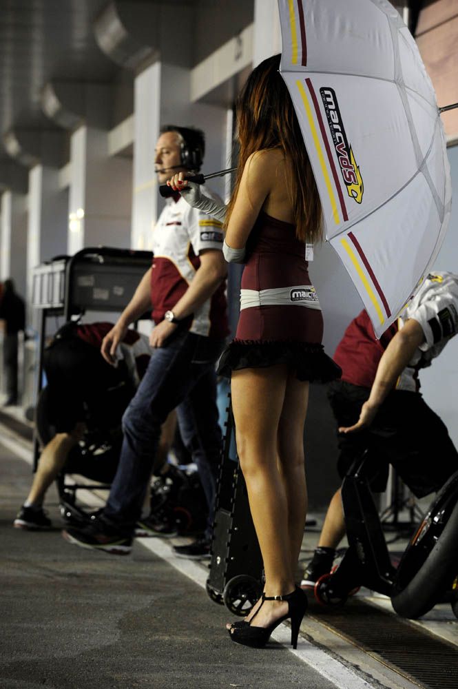 Las chicas del GP de Qatar. Galería