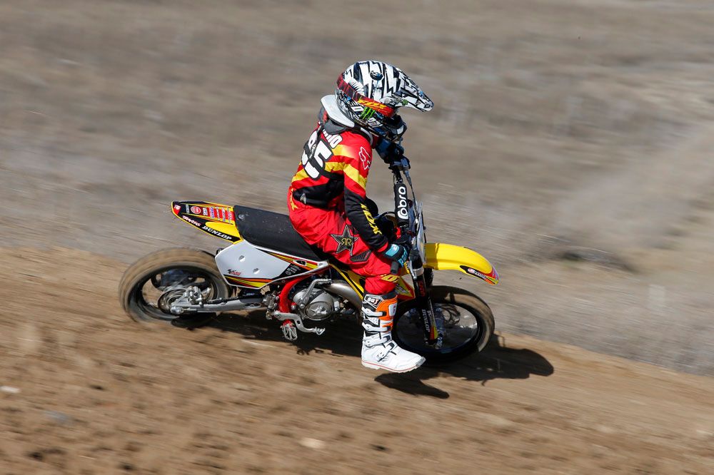 Cobra CX 65