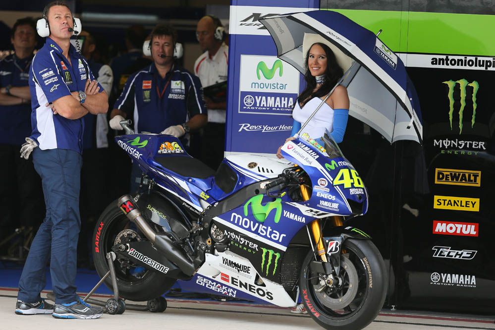 Las chicas del GP de América 2014. Fotos