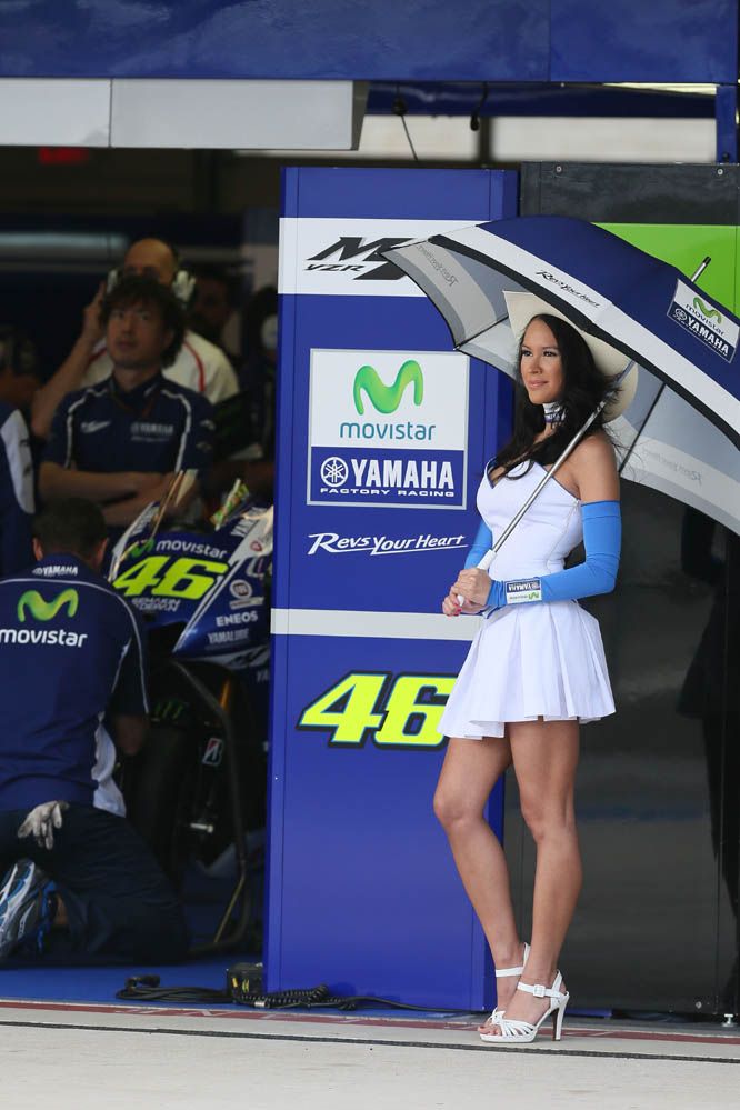 Las chicas del GP de América 2014. Fotos