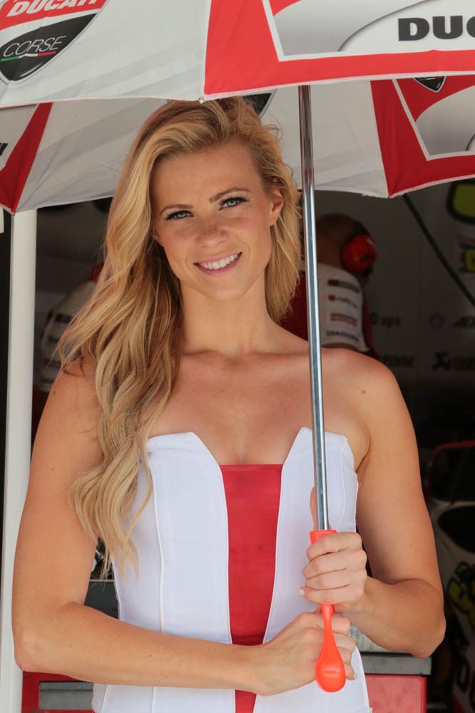 Las chicas del GP de América 2014. Fotos