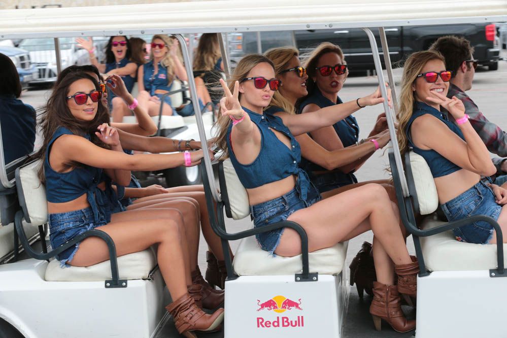 Las chicas del GP de América 2014. Fotos