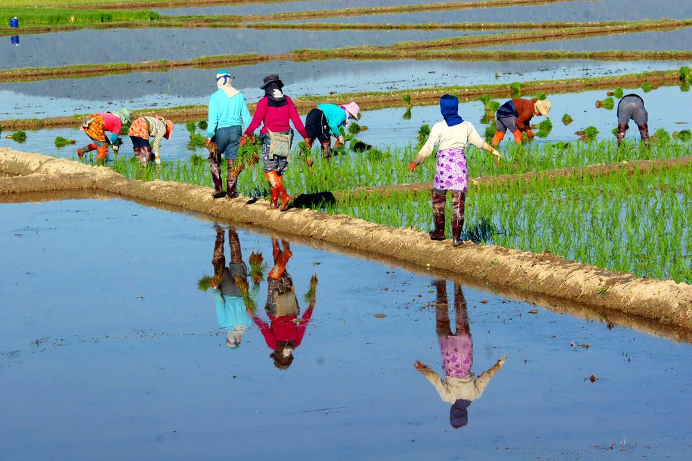 Turismo: Viaje a Tailandia