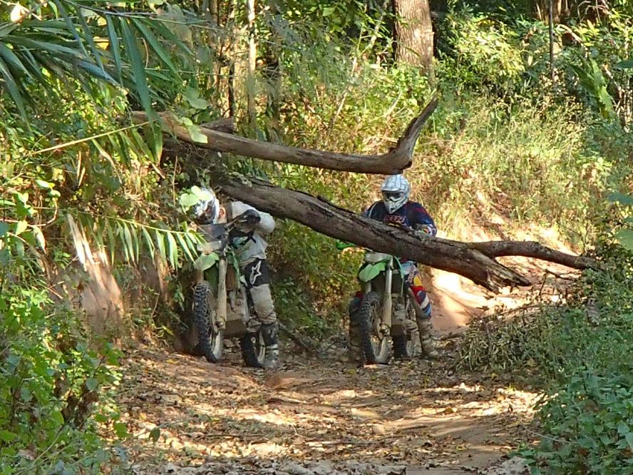 Turismo: Viaje a Tailandia
