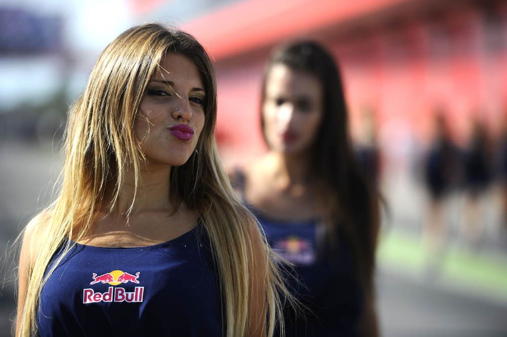 Las chicas del GP de Argentina 2014. Fotos