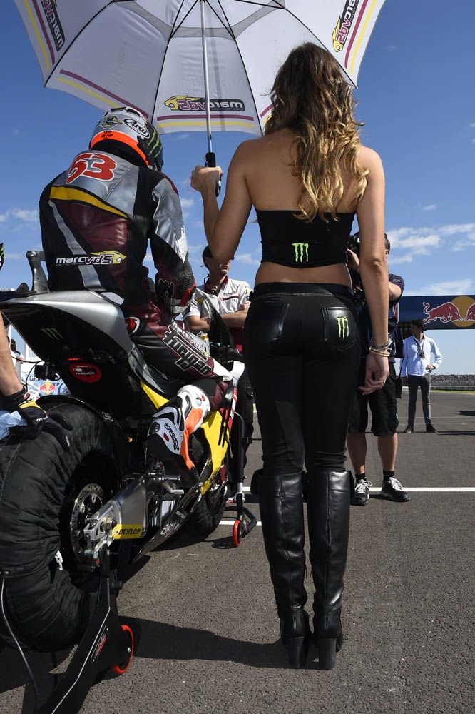 Las chicas del GP de Argentina 2014. Fotos