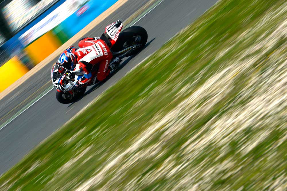 Bol´dor 2014