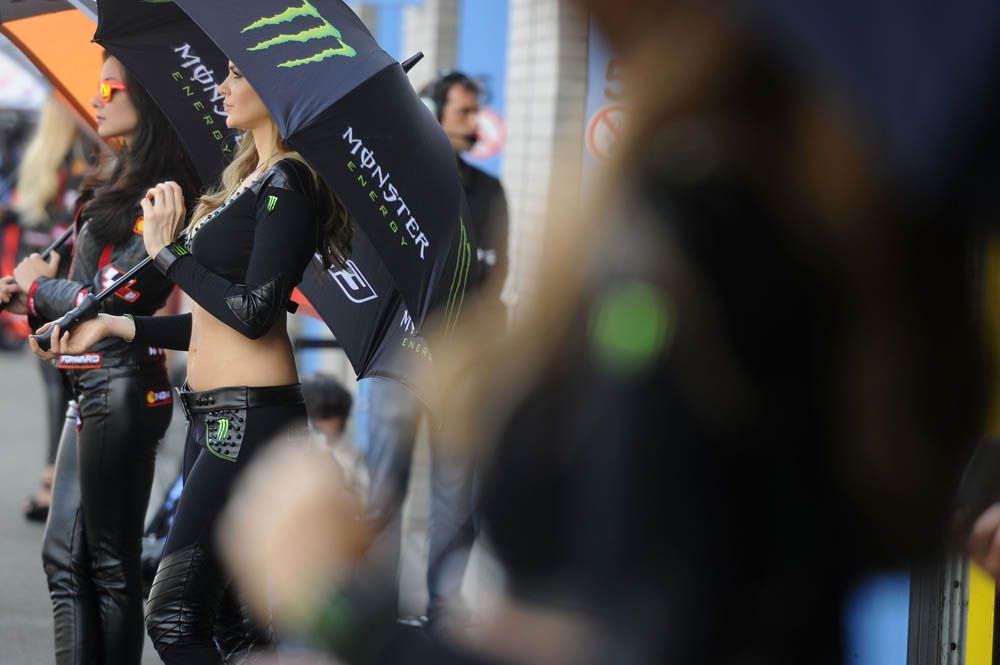 Las chicas del GP de Holanda. Fotos