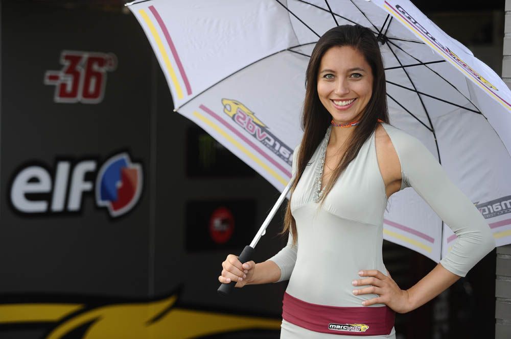 Las chicas del GP de Holanda. Fotos