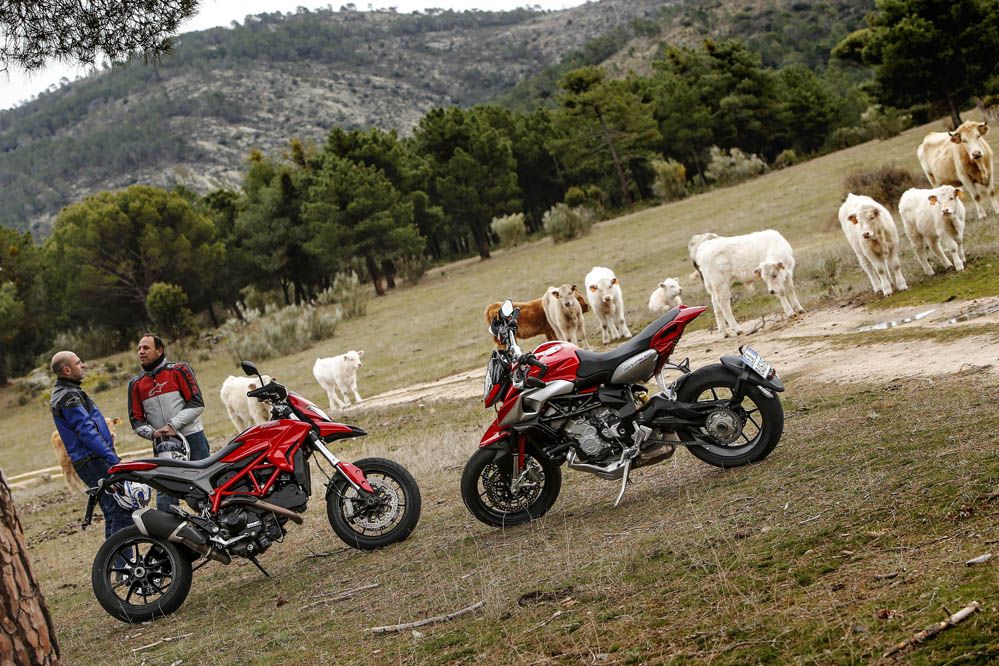Comparativa supermotard: MV Agusta Rivale vs Ducati Hypermotard. Galería