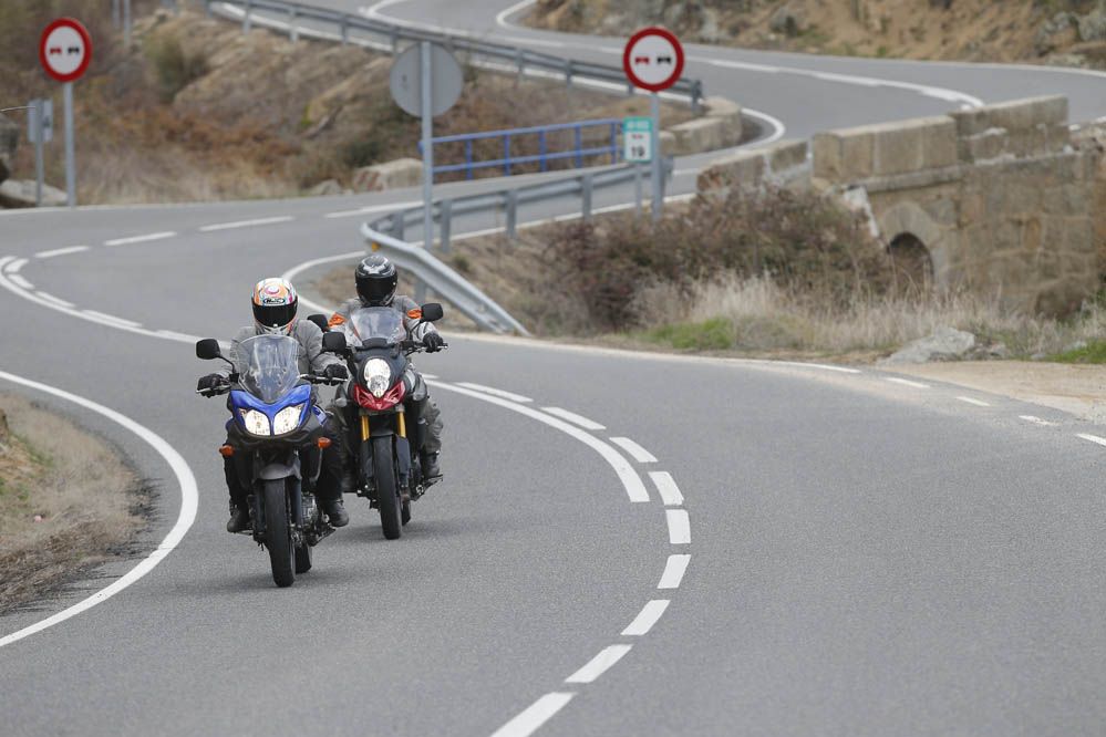 Comparativa Suzuki V-Strom 1000 y 650. Fotos