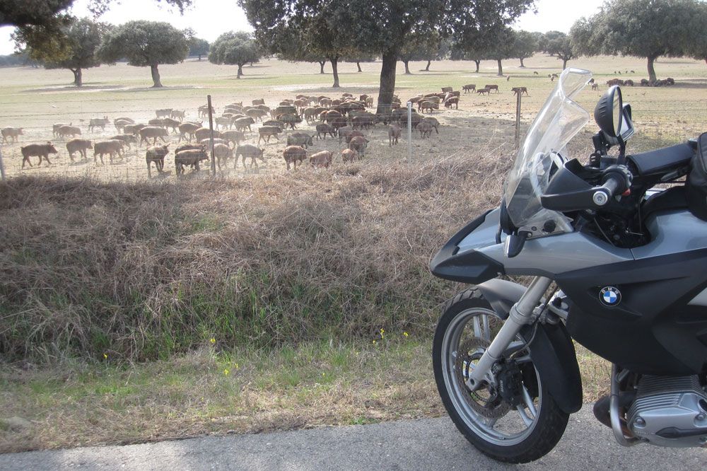 Galería de imágenes del objetivo 100.000 BMW R 1200 GS