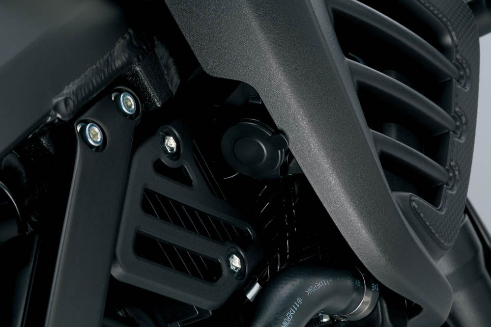 Suzuki V-Strom 650 XT. Fotos