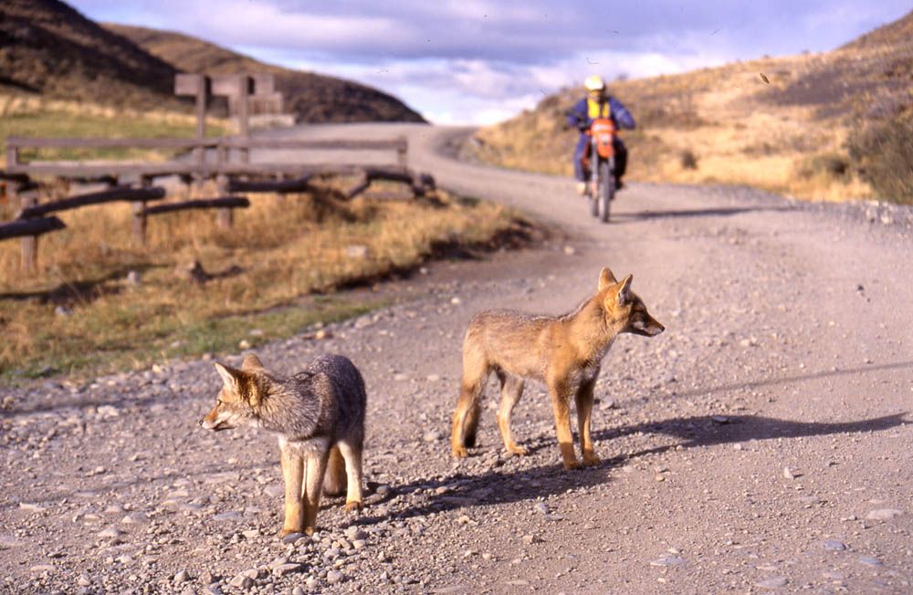 Rutas del Mundo: Ruta 40 Argentina- Imágenes