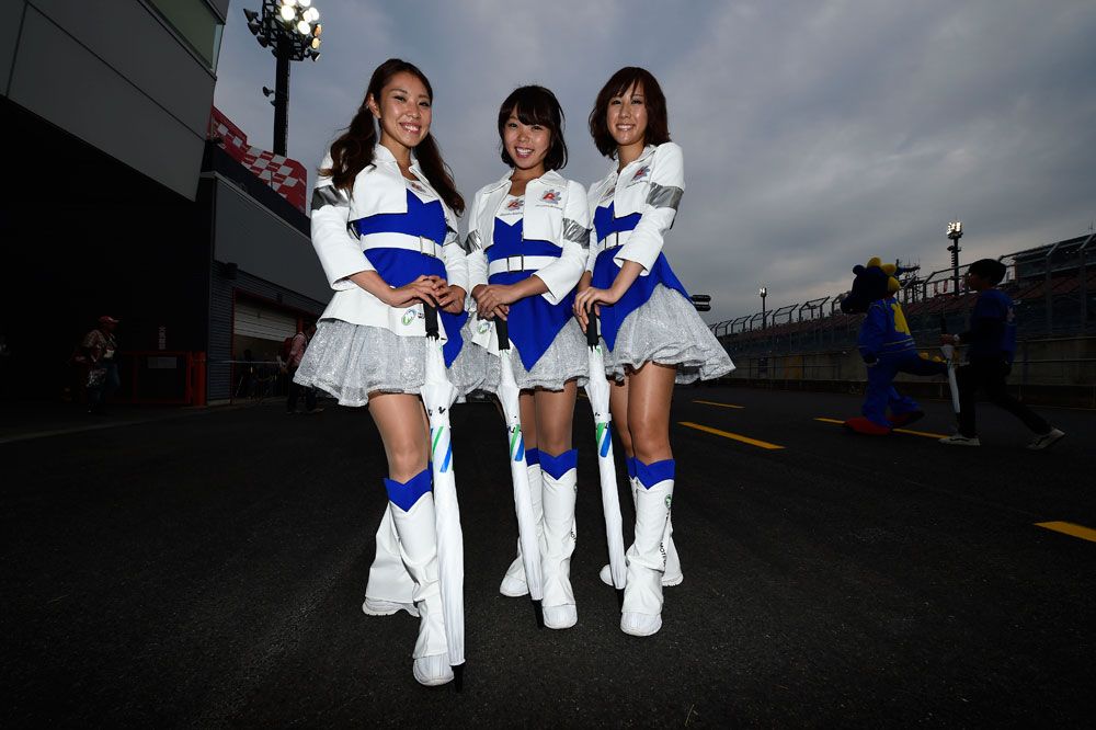 Las mejores paddock girls del año. Galería