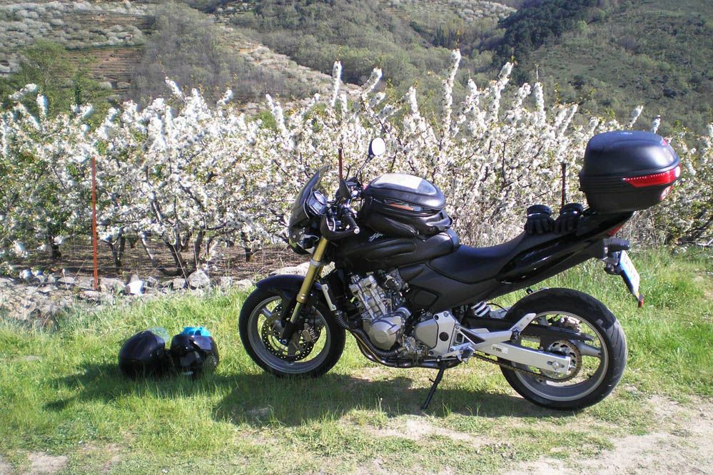 Objetivo 100.000: Honda CB600 F Hornet. Galería