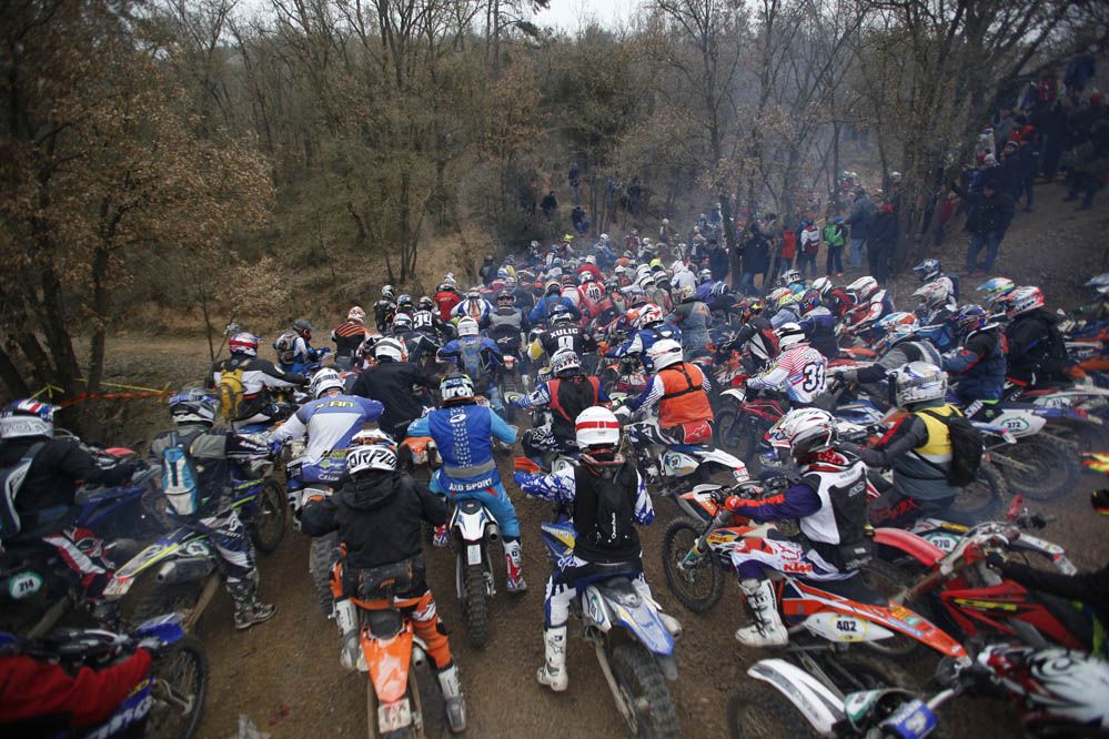 Basella Race1 2015. Galería