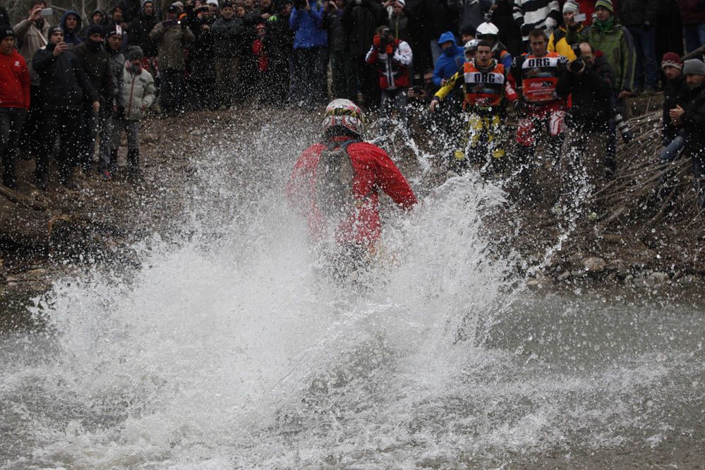 Basella Race1 2015. Galería