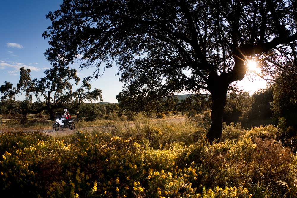Las mejores fotos de la revista La Moto