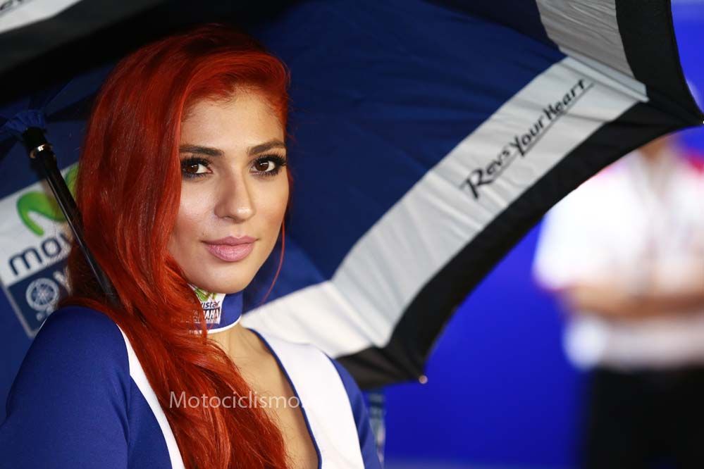 Las chicas del GP de Qatar 2015