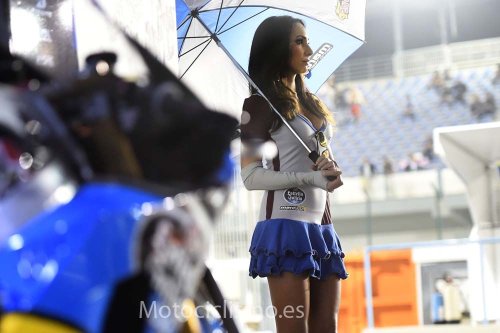 Las chicas del GP de Qatar 2015