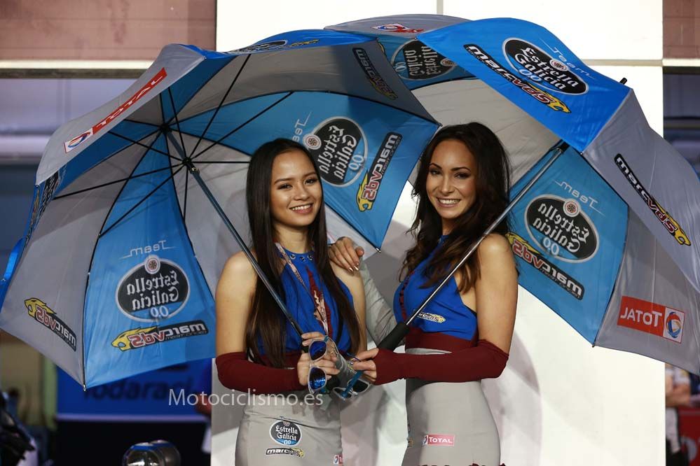 Las chicas del GP de Qatar 2015