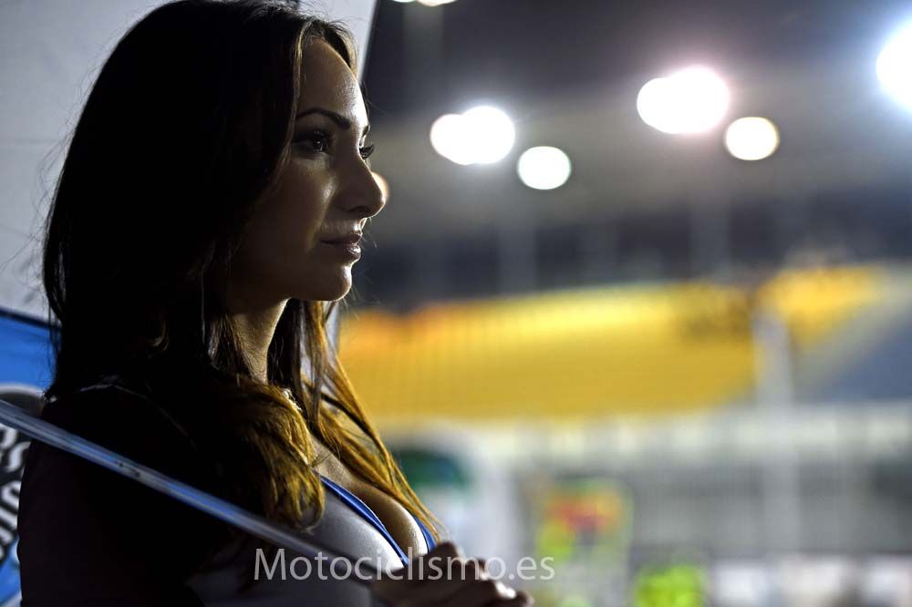 Las chicas del GP de Qatar 2015