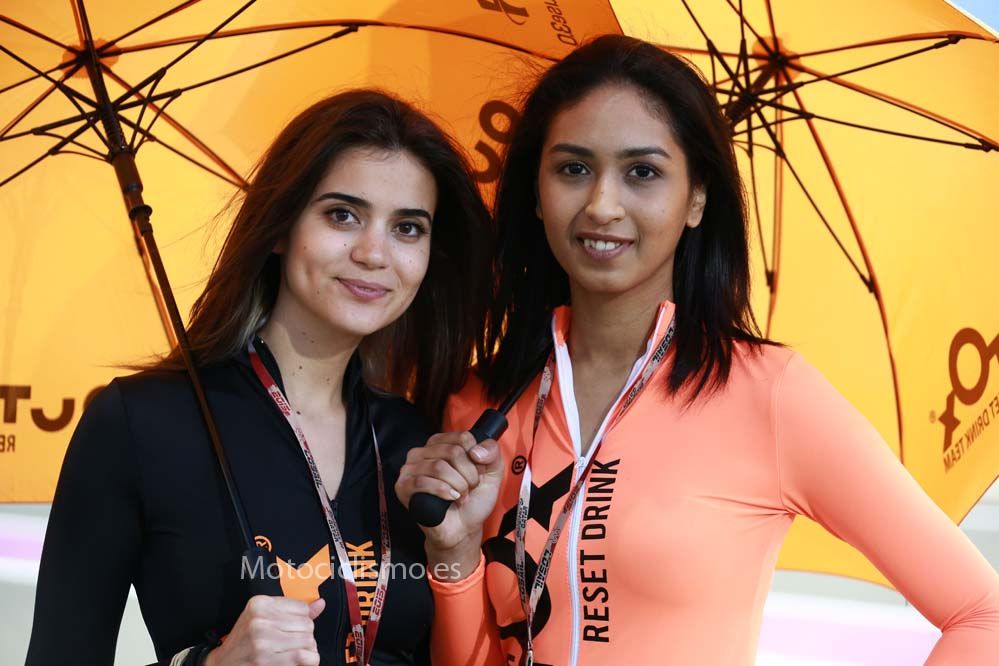 Las chicas del GP de Qatar 2015