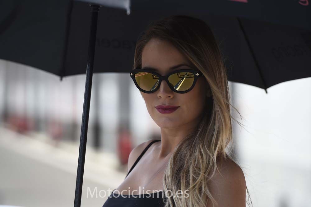 Las chicas del GP de Qatar 2015