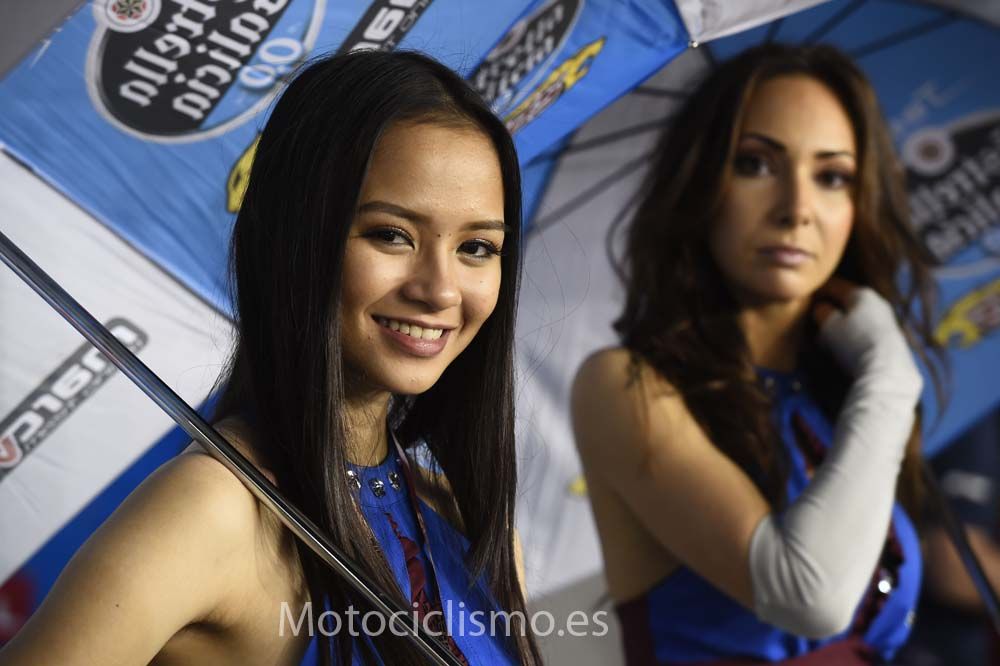 Las chicas del GP de Qatar 2015