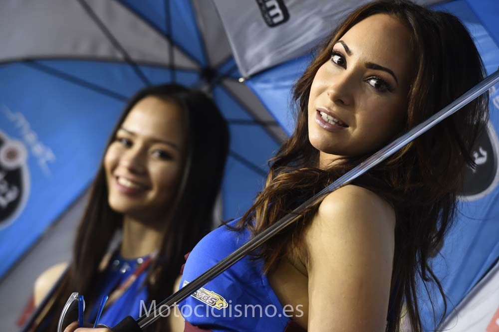 Las chicas del GP de Qatar 2015